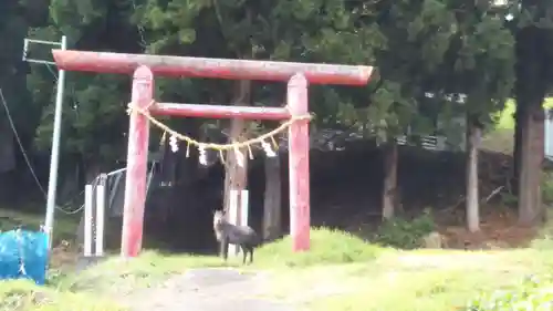 姫神嶽神社の鳥居