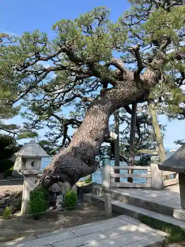 満月寺（浮御堂）の庭園
