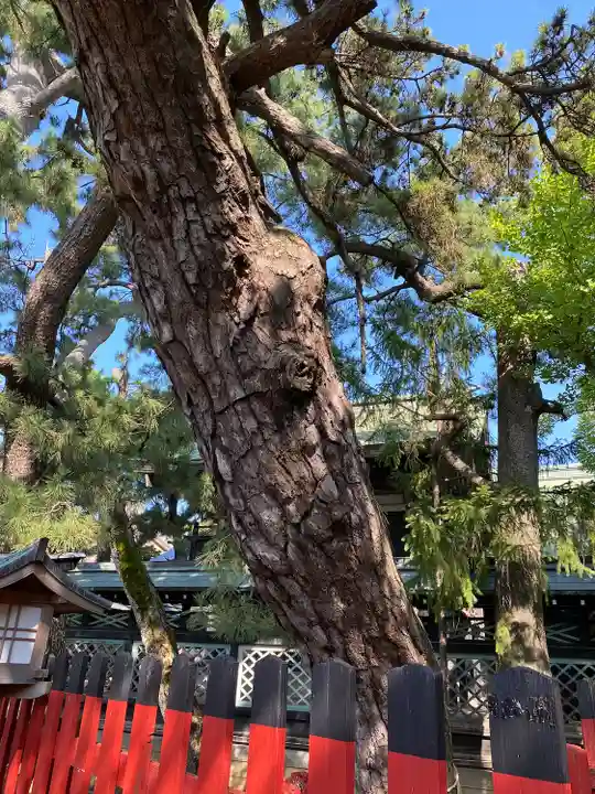 白山神社(新潟県)