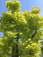 寿量山 速成寺(奈良県)