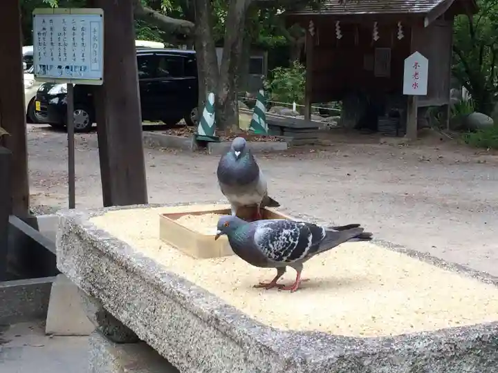 鳥飼八幡宮(福岡県)