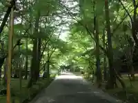 龍安寺の{uncategorized: "未分類", other: "その他", undefined: "問題あり", building: "その他建物", grave: "お墓", sacred_gate: "鳥居", guardian: "狛犬", statue: "像", buddha: "仏像", history: "歴史", nature: "自然", garden: "庭園", animal: "動物", pagoda: "塔", temizu: "手水舎", mountain_gate: "山門・神門", sanctuary: "本殿・本堂", subordinate: "末社・摂社", art: "芸術", scenery: "景色", jizo: "地蔵", ema: "絵馬", goshuin: "御朱印", omikuji: "おみくじ", items: "授与品その他", amulet: "お守り", goshuincho: "御朱印帳", eats: "食事", festival: "お祭り", votive_dance: "神楽", shichigosan: "七五三参", wedding: "結婚式", experience: "体験その他", initially: "初詣", around: "周辺", anti_infection: "感染症対策"}