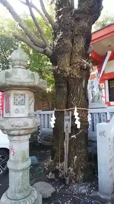 笠䅣稲荷神社のその他建物