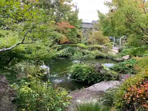 本行寺の庭園