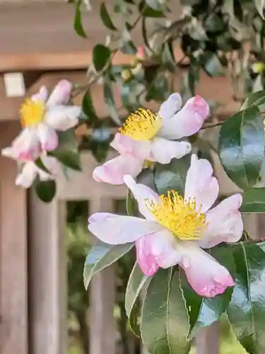 大正寺(東京都)