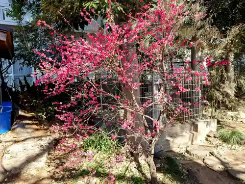 一山神社(埼玉県)