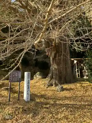 鏡山湯泉神社(栃木県)