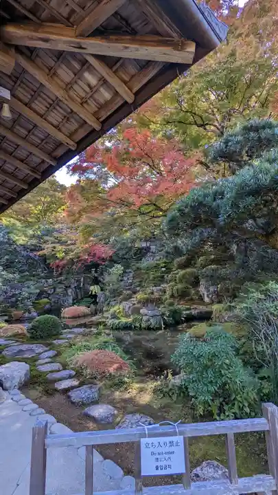実光院(京都府)