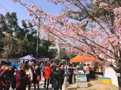 四天王寺の自然