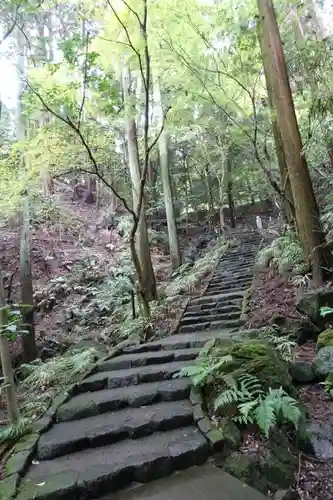 近津尾神社の建物その他