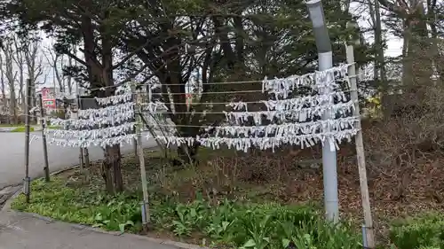 鳥取神社のおみくじ