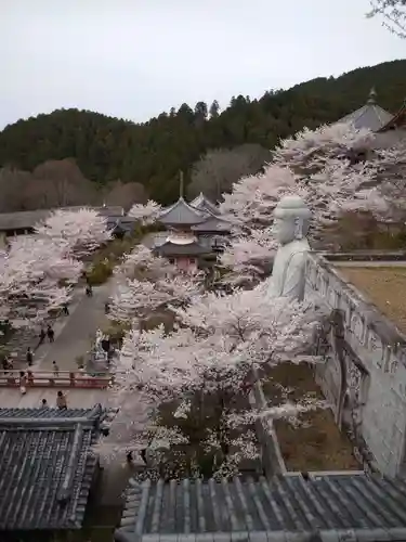 南法華寺（壷阪寺）の仏像