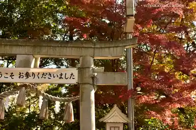 多摩川浅間神社の鳥居