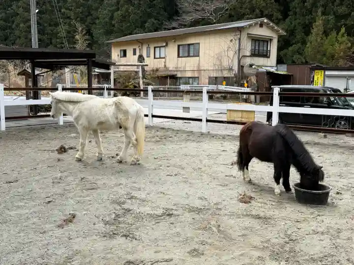 丹生川上神社(下社)の{uncategorized: "未分類", other: "その他", undefined: "問題あり", building: "その他建物", grave: "お墓", sacred_gate: "鳥居", guardian: "狛犬", statue: "像", buddha: "仏像", history: "歴史", nature: "自然", garden: "庭園", animal: "動物", pagoda: "塔", temizu: "手水舎", mountain_gate: "山門・神門", sanctuary: "本殿・本堂", subordinate: "末社・摂社", art: "芸術", scenery: "景色", jizo: "地蔵", ema: "絵馬", goshuin: "御朱印", omikuji: "おみくじ", items: "授与品その他", amulet: "お守り", goshuincho: "御朱印帳", eats: "食事", festival: "お祭り", votive_dance: "神楽", shichigosan: "七五三参", wedding: "結婚式", experience: "体験その他", initially: "初詣", around: "周辺", anti_infection: "感染症対策"}