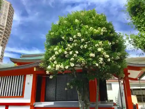 麻布氷川神社のその他建物
