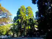 花尾神社(鹿児島県)