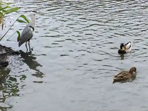 三渓園天満宮(神奈川県)