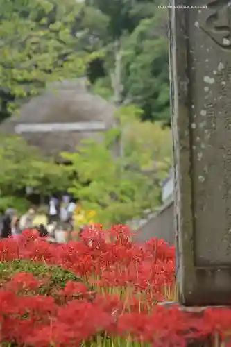 横浜　西方寺(神奈川県)