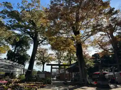 一言主神社(茨城県)