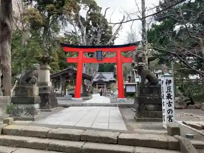 伊古奈比咩命神社の鳥居