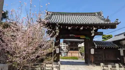 妙蓮寺の山門