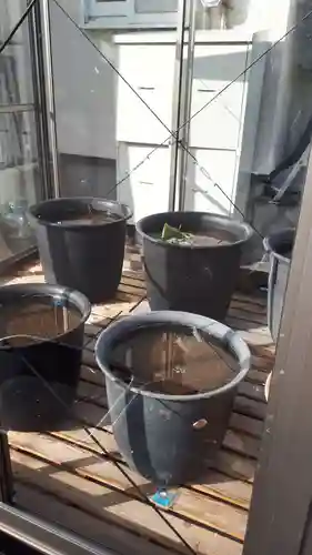 極楽山　浄土寺のその他建物