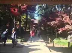 平林寺の建物その他