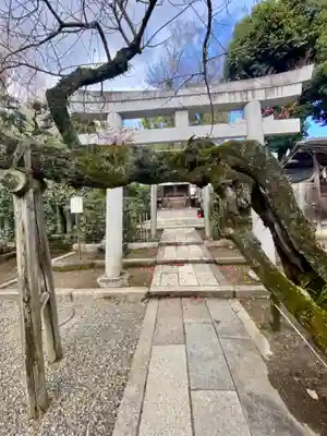 北野天満宮(京都府)