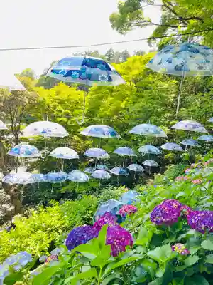 柳谷観音　楊谷寺(京都府)