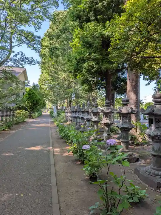 妙法寺(東京都)
