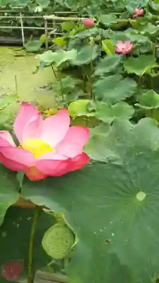 八幡神社のその他建物