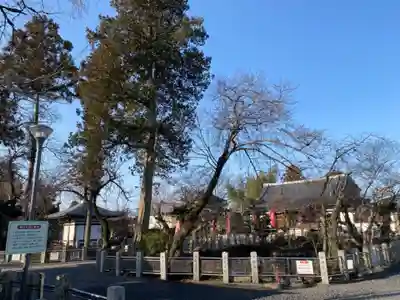 圓照寺のその他建物