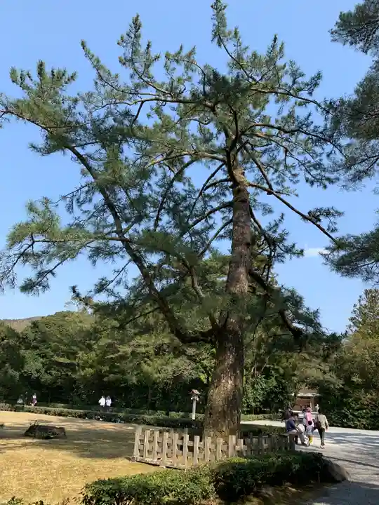 伊勢神宮内宮(皇大神宮)の自然