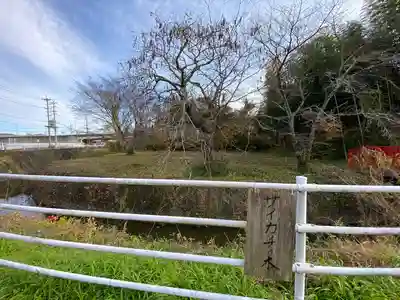 諏訪神社(宮城県)