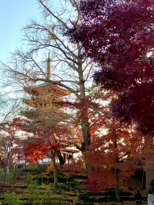 本土寺(千葉県)