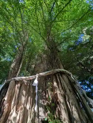 大國魂神社(東京都)