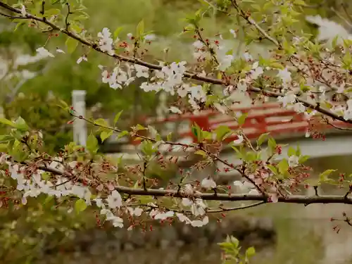 旗上弁財天社(神奈川県)