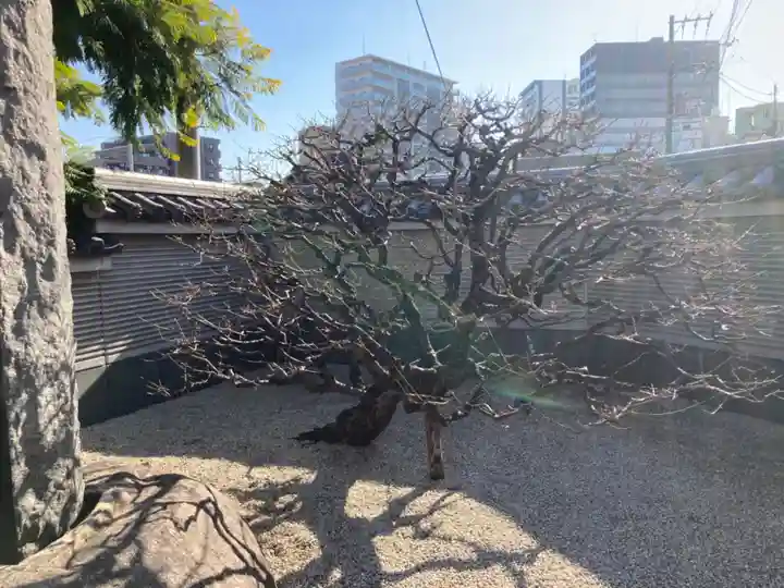 勝楽寺(東京都)