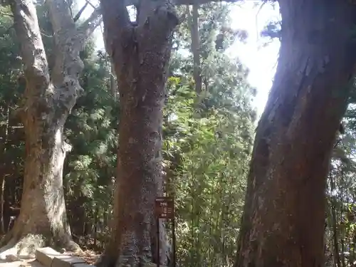 猿投神社　東の宮(愛知県)