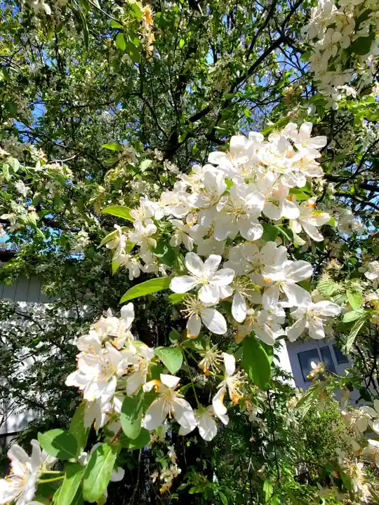 隠津島神社(福島県)