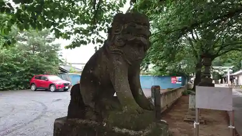 前玉神社の狛犬