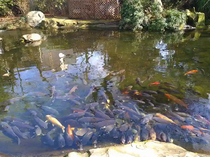 愛宕神社の庭園