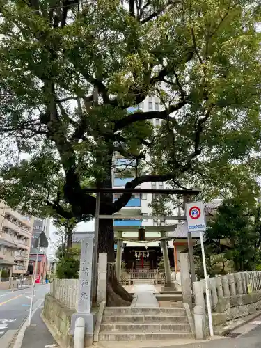 八幡神社の{uncategorized: "未分類", other: "その他", undefined: "問題あり", building: "その他建物", grave: "お墓", sacred_gate: "鳥居", guardian: "狛犬", statue: "像", buddha: "仏像", history: "歴史", nature: "自然", garden: "庭園", animal: "動物", pagoda: "塔", temizu: "手水舎", mountain_gate: "山門・神門", sanctuary: "本殿・本堂", subordinate: "末社・摂社", art: "芸術", scenery: "景色", jizo: "地蔵", ema: "絵馬", goshuin: "御朱印", omikuji: "おみくじ", items: "授与品その他", amulet: "お守り", goshuincho: "御朱印帳", eats: "食事", festival: "お祭り", votive_dance: "神楽", shichigosan: "七五三参", wedding: "結婚式", experience: "体験その他", initially: "初詣", around: "周辺", anti_infection: "感染症対策"}