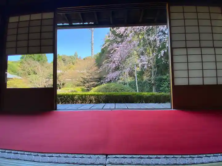 雲龍院のその他建物