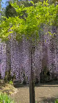 歌泉堂（春日大社神苑萬葉植物園内鎮座）(奈良県)
