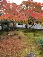 仁和寺の庭園