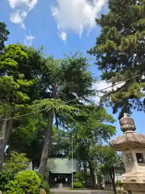 田端神社の{uncategorized: "未分類", other: "その他", undefined: "問題あり", building: "その他建物", grave: "お墓", sacred_gate: "鳥居", guardian: "狛犬", statue: "像", buddha: "仏像", history: "歴史", nature: "自然", garden: "庭園", animal: "動物", pagoda: "塔", temizu: "手水舎", mountain_gate: "山門・神門", sanctuary: "本殿・本堂", subordinate: "末社・摂社", art: "芸術", scenery: "景色", jizo: "地蔵", ema: "絵馬", goshuin: "御朱印", omikuji: "おみくじ", items: "授与品その他", amulet: "お守り", goshuincho: "御朱印帳", eats: "食事", festival: "お祭り", votive_dance: "神楽", shichigosan: "七五三参", wedding: "結婚式", experience: "体験その他", initially: "初詣", around: "周辺", anti_infection: "感染症対策"}