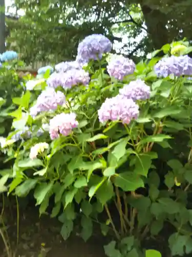 大宝八幡宮の{uncategorized: "未分類", other: "その他", undefined: "問題あり", building: "その他建物", grave: "お墓", sacred_gate: "鳥居", guardian: "狛犬", statue: "像", buddha: "仏像", history: "歴史", nature: "自然", garden: "庭園", animal: "動物", pagoda: "塔", temizu: "手水舎", mountain_gate: "山門・神門", sanctuary: "本殿・本堂", subordinate: "末社・摂社", art: "芸術", scenery: "景色", jizo: "地蔵", ema: "絵馬", goshuin: "御朱印", omikuji: "おみくじ", items: "授与品その他", amulet: "お守り", goshuincho: "御朱印帳", eats: "食事", festival: "お祭り", votive_dance: "神楽", shichigosan: "七五三参", wedding: "結婚式", experience: "体験その他", initially: "初詣", around: "周辺", anti_infection: "感染症対策"}