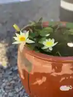 上行寺(静岡県)