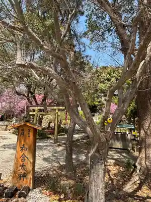 玉鉾神社(愛知県)